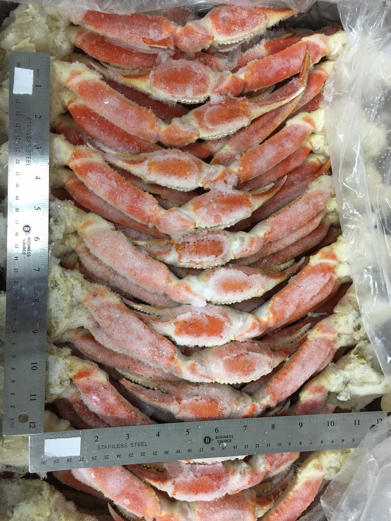 COLLOSAL ALASKAN SNOW CRAB 12 UP!! 5,10,30 POUND AVAILABLE