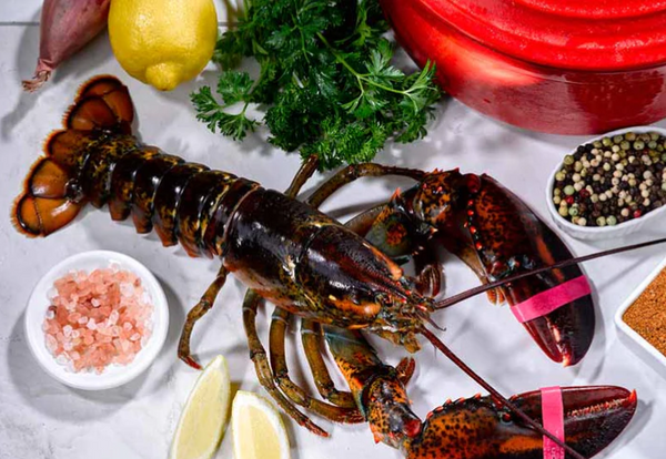 Live Hard-Shell Lobsters, 1.5 lbs avg, wild caught