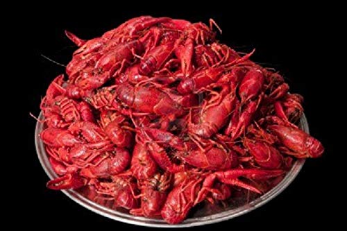 PACKAGE C ------ULTIMATE SURF AND TURF -- 10 12OZ RIBEYE STEAKS 10 POUNDS CRAWFISH  10 POUNDS SNOW CRAB AND 6 POUNDS LARGE SHRIMP 4 DZ HALF SHELL OYSTERS