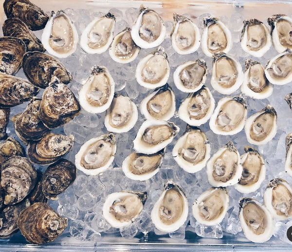 1 dozen frz half shell oysters