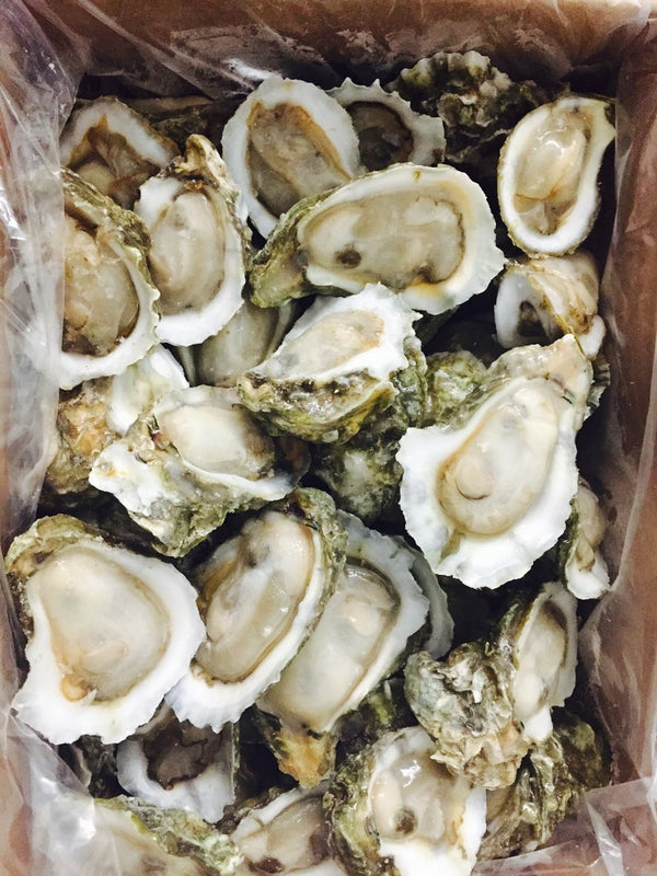 72 count frz half shell oysters