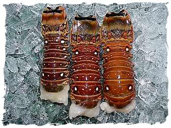 2 - 8 oz warm water lobster tail