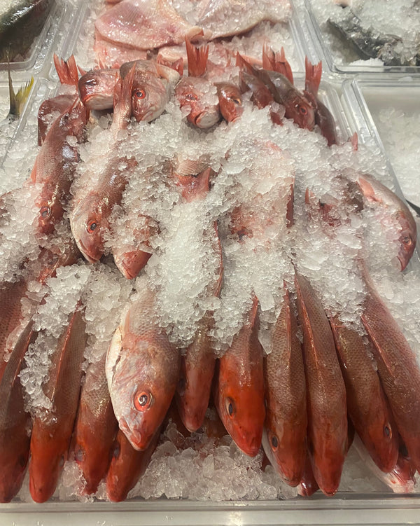 Wild Red Snapper or Yellow tail 1.3 TO 1.5 LB EACH Thursday to Sunday