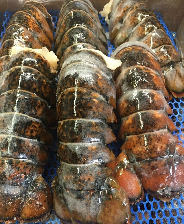 4 -5 oz Cold Water lobster tail